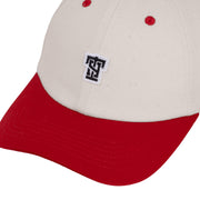Bone Dad Hat T9