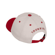 Bone Dad Hat T9